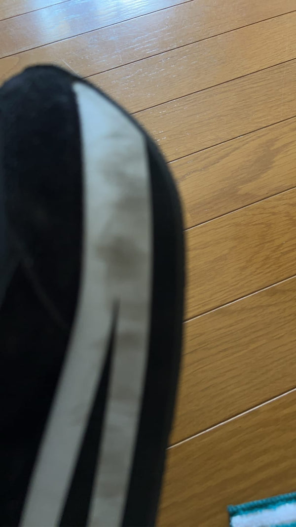 高级清洁刷（猪鬃）のレビュー写真