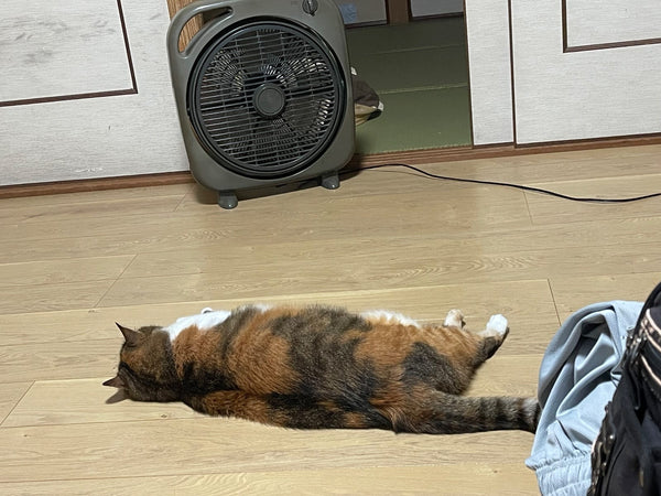洗鞋網（1套2個）のレビュー写真