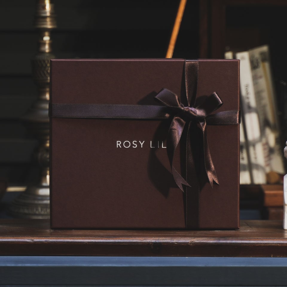 ROSYLILY 高级鞋用清洁剂礼盒