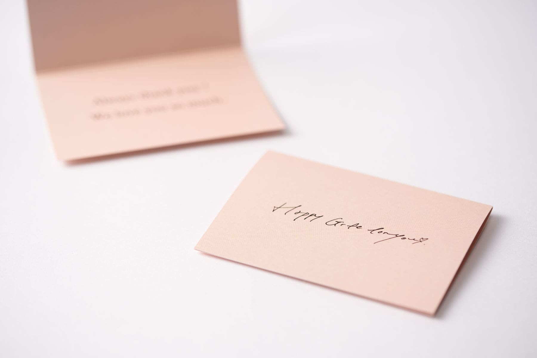 ROSYLILY 高级鞋用清洁剂礼盒